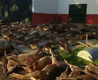 El alcalde de La Granada avisa de que el traslado de los ciervos tiene un “alto coste”
