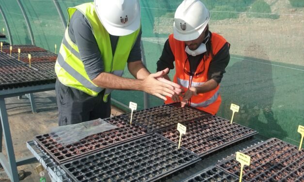 La construcción y la industria lideran la bajada del paro en la Cuenca