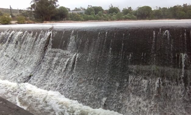 El viento provoca la caída de árboles, farolas y señales de tráfico en Zalamea