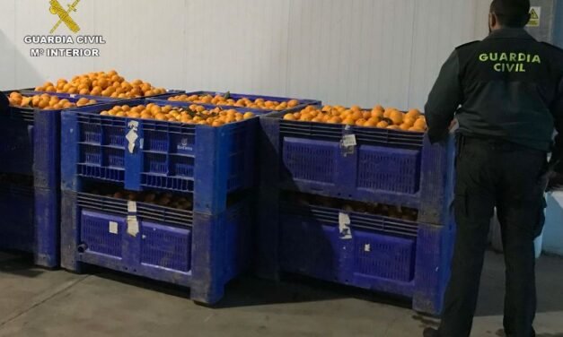 Roban más de 2.000 kilos de naranjas en una finca de Zalamea