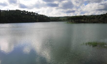 El pantano del Zumajo, un enclave único de El Campillo