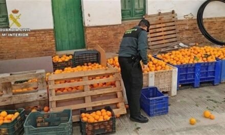 Atrapan a seis personas por el robo de 1.500 kilos de naranjas en El Campillo