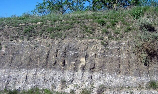 Un experto analiza los volcanes submarinos producidos en Zalamea