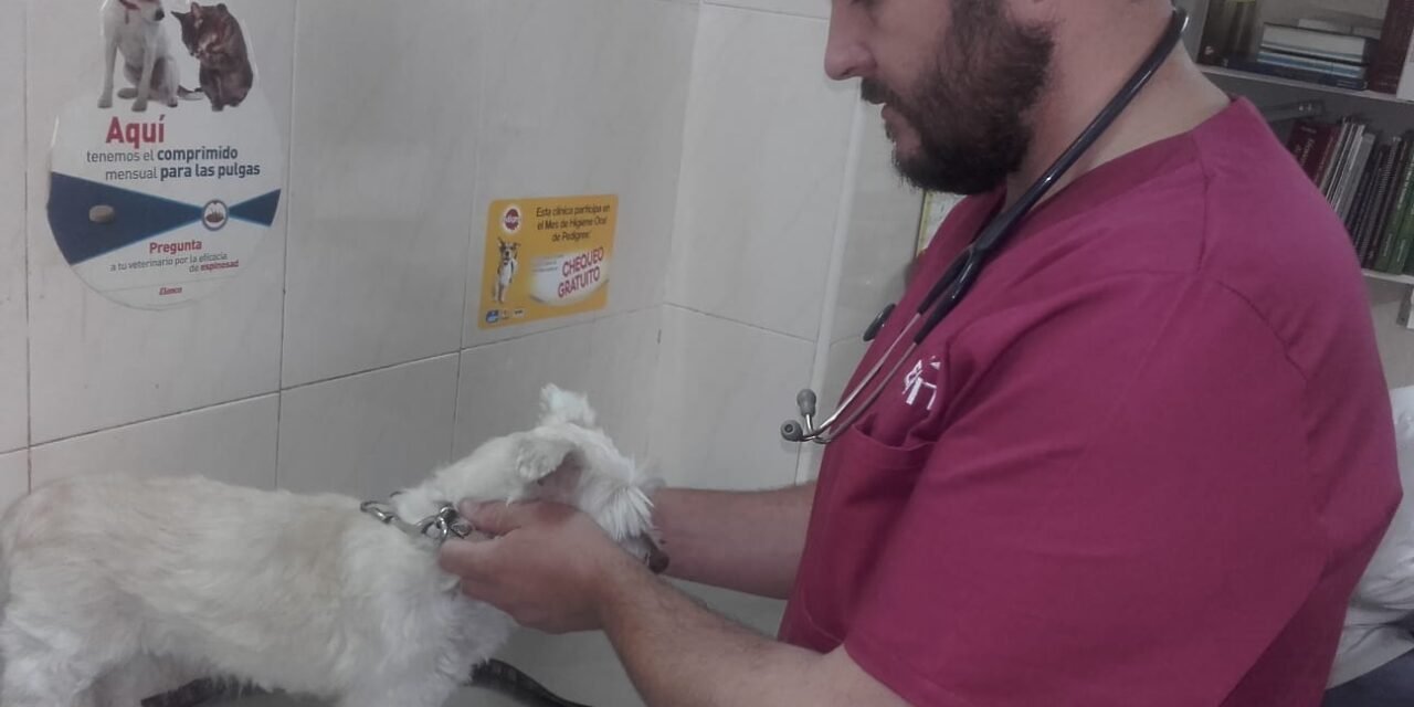 El campillero Justo Moreno abrirá una clínica veterinaria en Riotinto