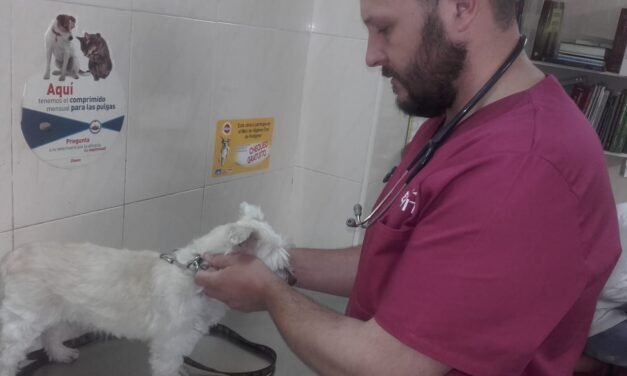 El campillero Justo Moreno abrirá una clínica veterinaria en Riotinto