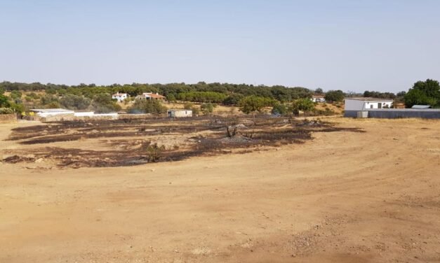 Nuevo incendio en El Pozuelo de Zalamea