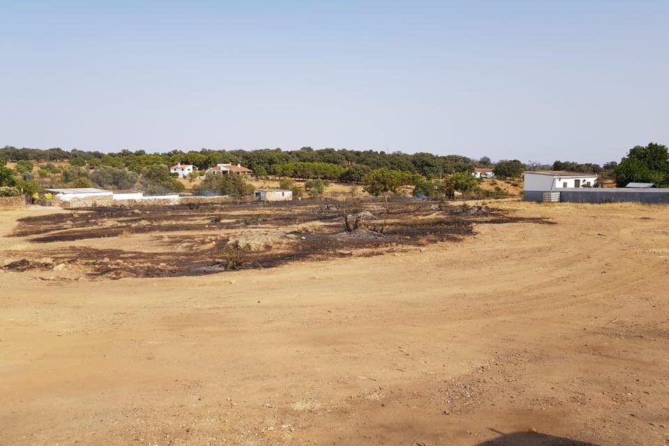 Nuevo incendio en El Pozuelo de Zalamea