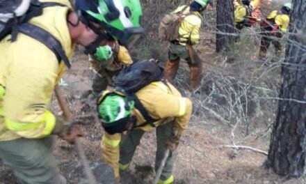 Extinguido el incendio de Nerva más de ocho días después de iniciarse