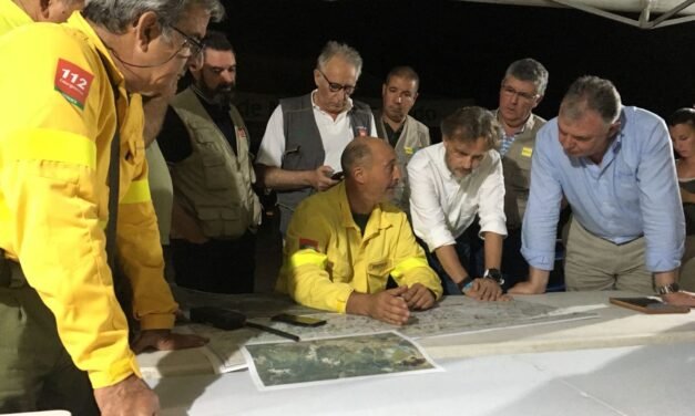 La Junta aclara a IU que la restauración de la zona incendiada no puede empezar hasta pasado un año