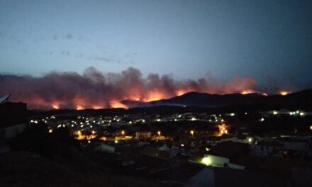 Los vecinos evacuados por el incendio de Nerva vuelven a sus casas