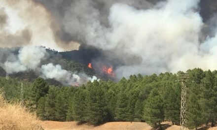El incendio de Nerva arrasa más de 1.700 hectáreas