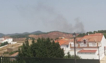 El incendio de Nerva, controlado