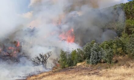 Declarado otro grave incendio en la Cuenca Minera