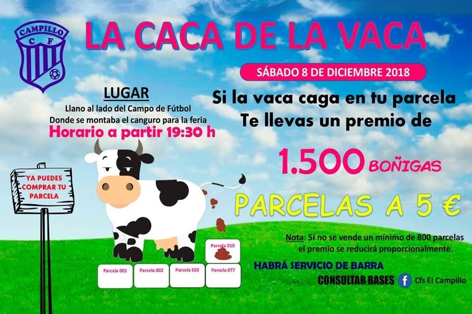 Los campilleros podrán ganar 1.500 euros por la ‘caca’ de una vaca