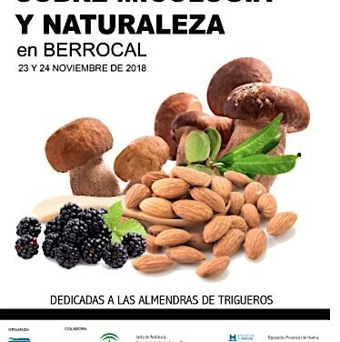 Nueva cita en Berrocal para los aficionados a la micología y la naturaleza
