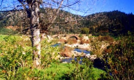 El río Odiel y la Cuenca Minera