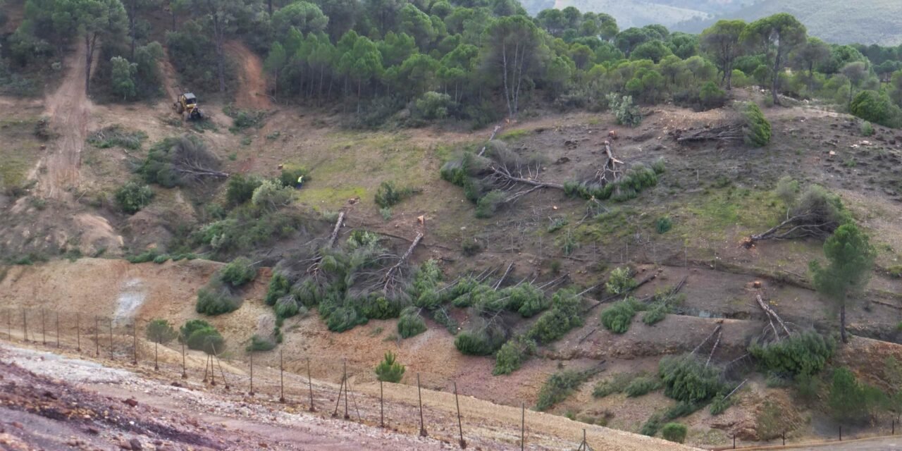 Piden a la Junta que investigue la “destrucción” de la masa forestal protectora del vertedero