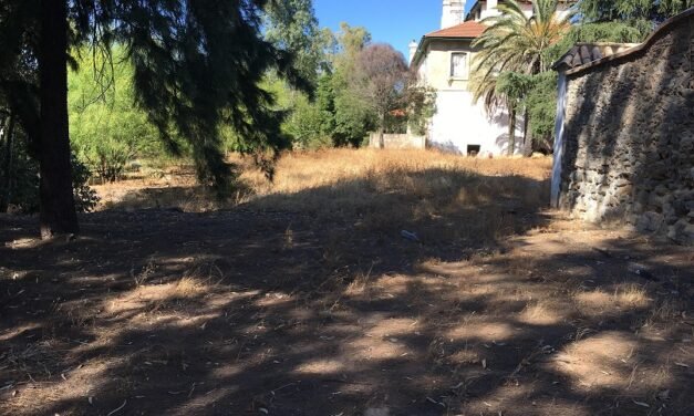 Greenpeace critica que Riotinto carezca de planes contra incendios