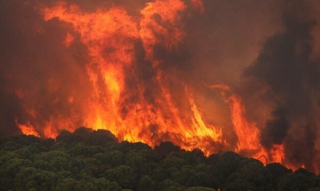 El Gobierno finaliza sus obras de restauración del incendio de Nerva