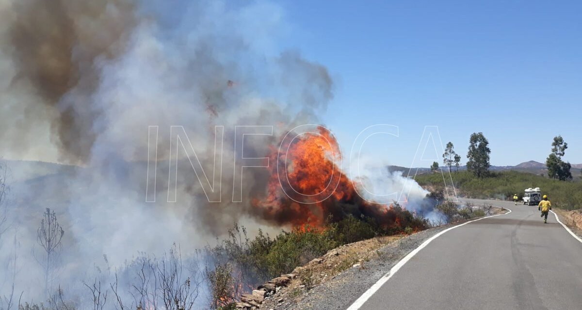 Declarado un incendio forestal en Berrocal