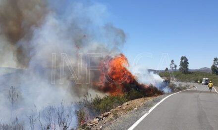 Declarado un incendio forestal en Berrocal