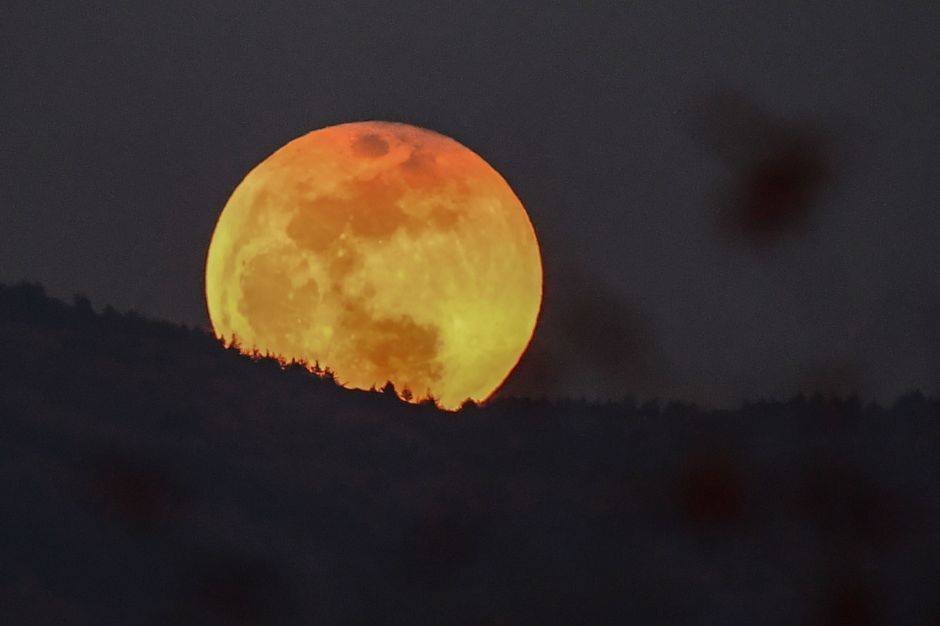 Zalamea prepara un ‘paseo por la luna’