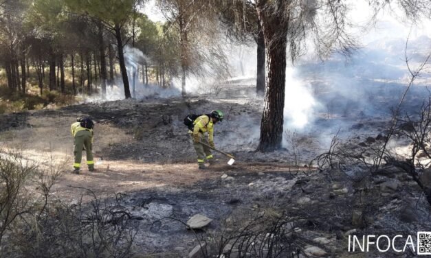 Bomberos trabajan en la extinción de un incendio en Nerva