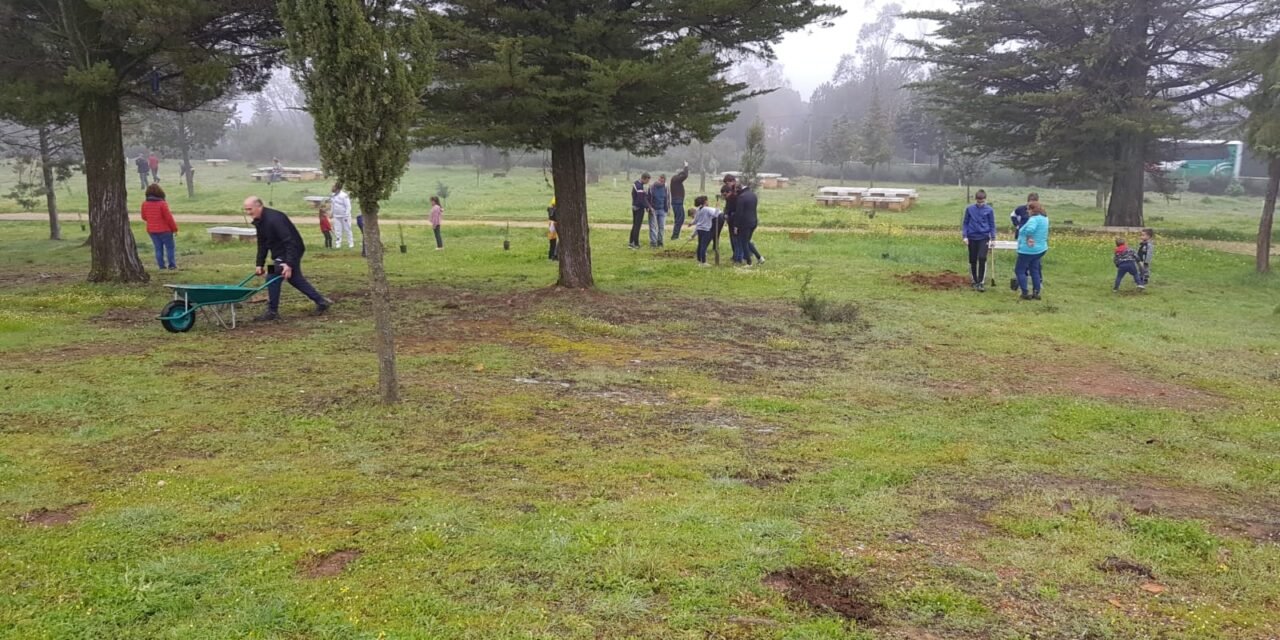 Adjudicada la plantación de 900 árboles en Cuenca Minera