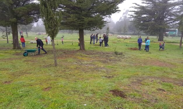 Adjudicada la plantación de 900 árboles en Cuenca Minera