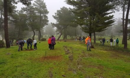 El Campillo repuebla su Parque de los Cipreses con 150 nuevos árboles