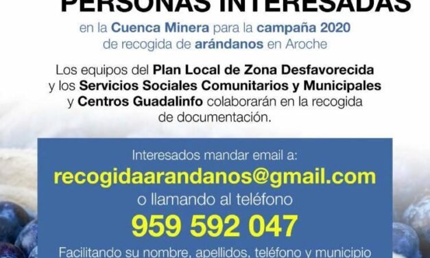 Buscan a personas de la Cuenca para la campaña de arándanos de Aroche