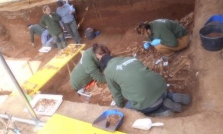 Los mineros fusilados en Sevilla salen a la luz con la exhumación de la fosa de Pico Reja