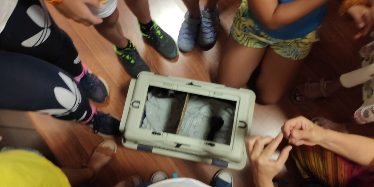 Zalamea acogerá actividades deportivas y culturales para menores tutelados