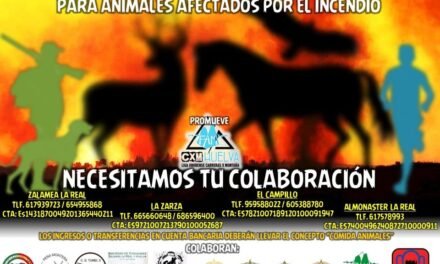 Promueven una gran recogida de alimentos para los animales afectados por el incendio