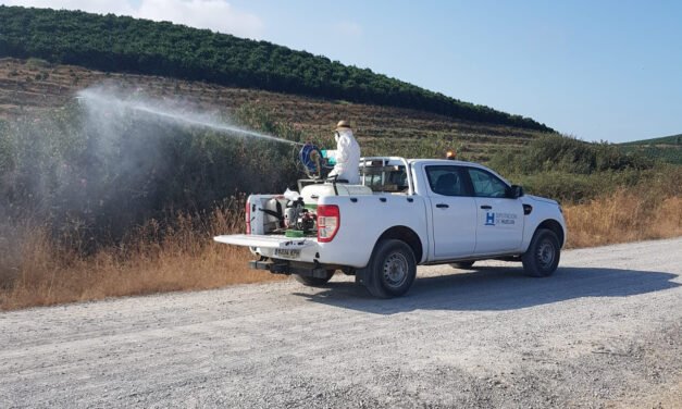 Detectan un foco de fiebre del Nilo en El Campillo