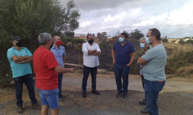 IU pide medidas para prevenir incendios y agilidad en las ayudas a las víctimas