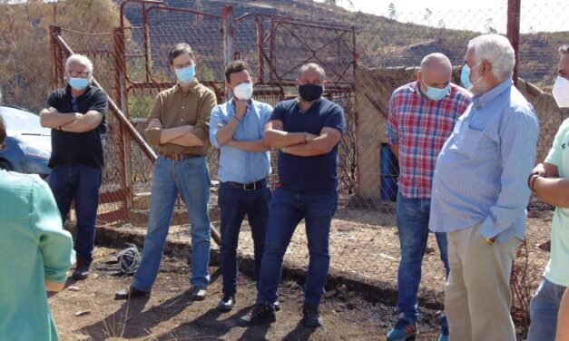IU pide planes de empleo para reforestar las zonas calcinadas por el incendio