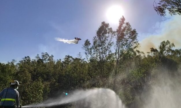 El Infoca da por extinguido el incendio de Almonaster