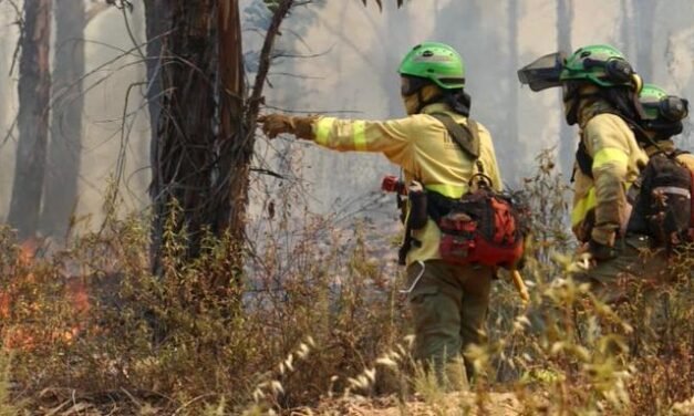 El Infoca da por controlado el incendio de Almonaster