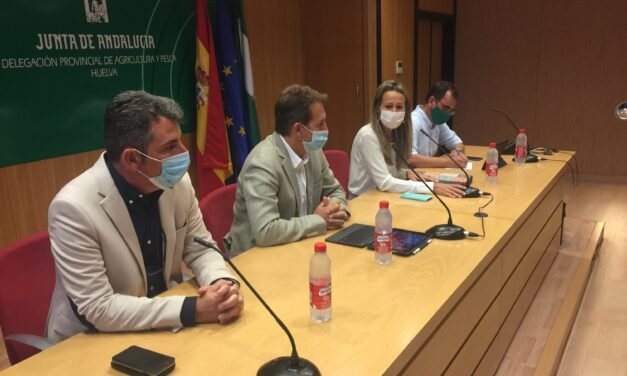 La Junta crea un foro de participación en la recuperación del incendio de Almonaster