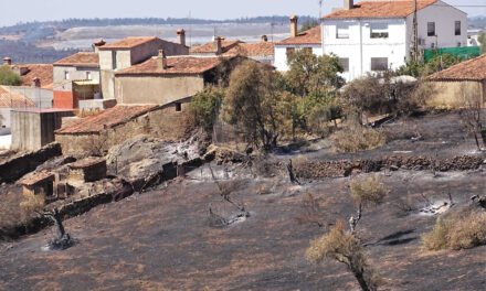 Ecologistas pide a la Junta una oficina técnica para atender a los afectados por el incendio