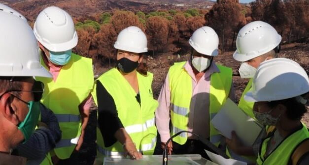 Comienzan las obras de emergencia en las zonas afectadas por el incendio de Almonaster