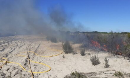 Realizan quemas controladas en Doñana para investigar los efectos del fuego