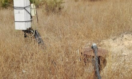 El Gobierno anuncia el cierre de otros 170 pozos en el entorno de Doñana