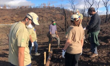 La Junta inicia con voluntarios los trabajos de emergencia por el incendio de Almonaster