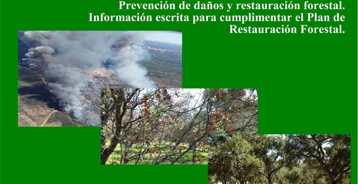Ofrecen asesoramiento gratuito para la recuperación de fincas afectadas por el incendio de Almonaster