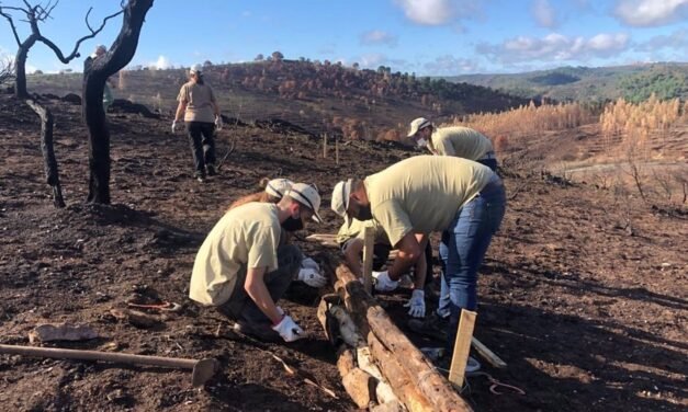 Los trabajos de emergencia en El Campillo tras el incendio del pasado verano están “muy avanzados”