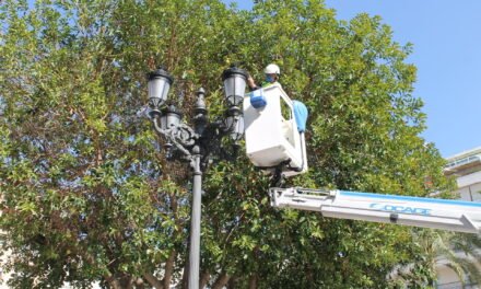 El Ayuntamiento pone cámaras de videovigilancia en la Plaza de las Monjas