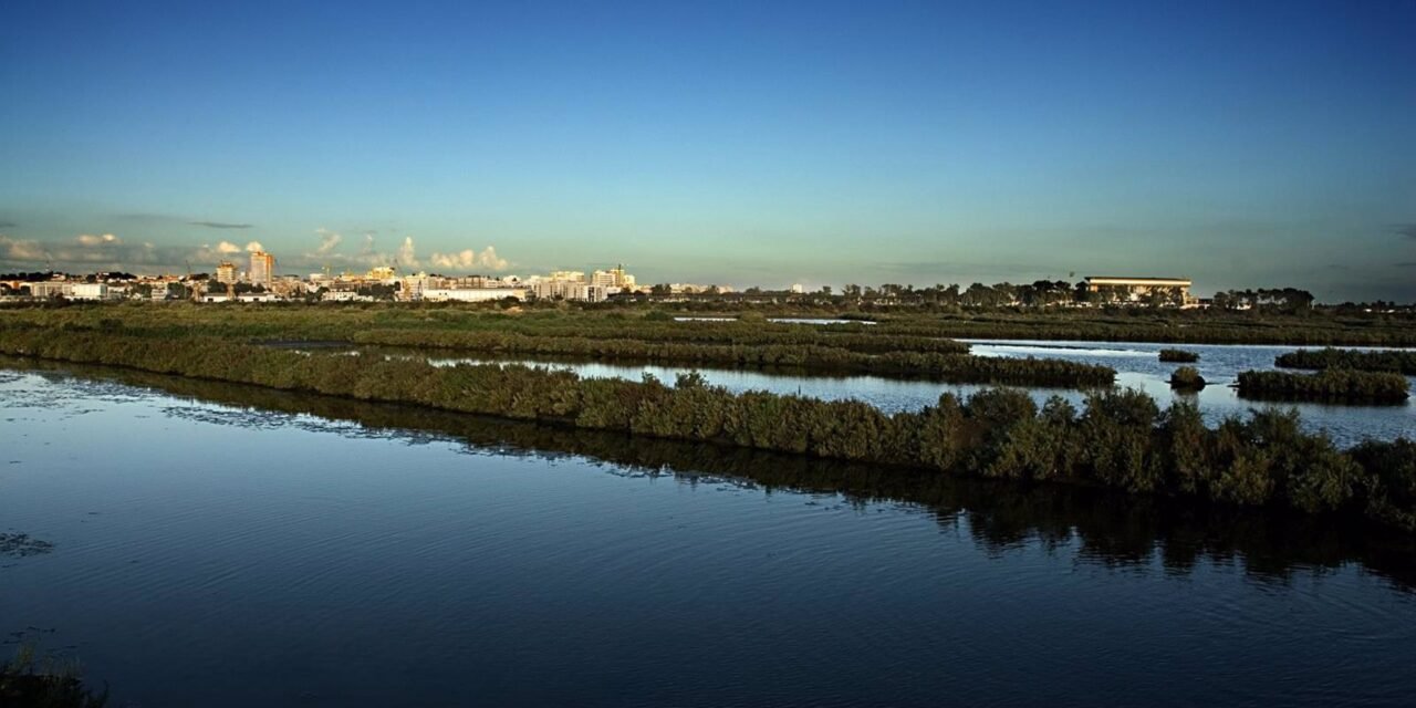 La Diputación participa en un estudio europeo para la conservación de la biodiversidad del litoral