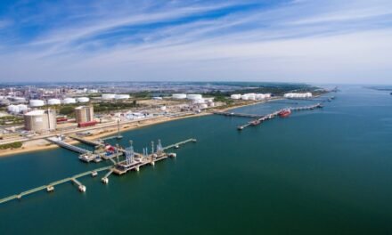 La Autoridad Portuaria impulsa concesiones por más de 100 millones en colaboración público-privada